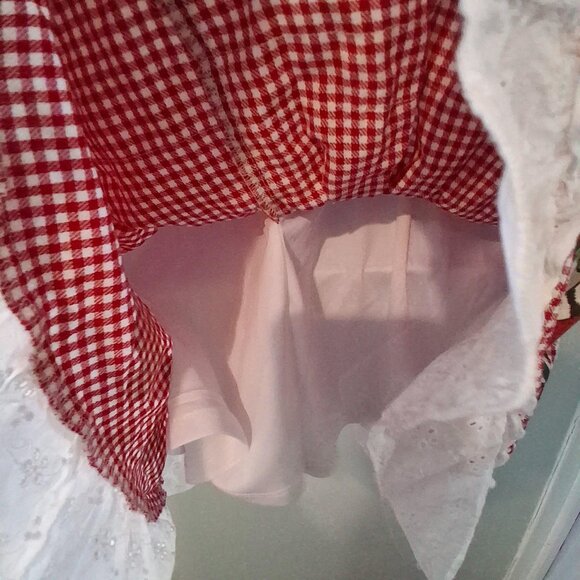 Thorn & Fable Hot Topic dress womens Small gingham raccoons strawberries - Picture 6 of 6